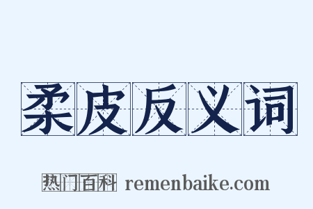 柔皮反义词是什么意思的图片